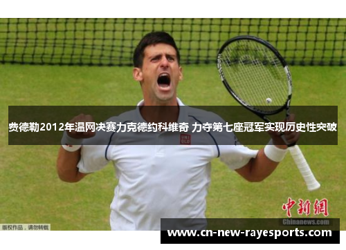 费德勒2012年温网决赛力克德约科维奇 力夺第七座冠军实现历史性突破