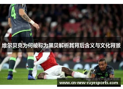 维尔贝克为何被称为黑贝解析其背后含义与文化背景