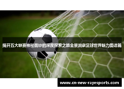 揭开五大联赛神秘面纱的深度探索之旅全景洞察足球世界魅力图谱篇