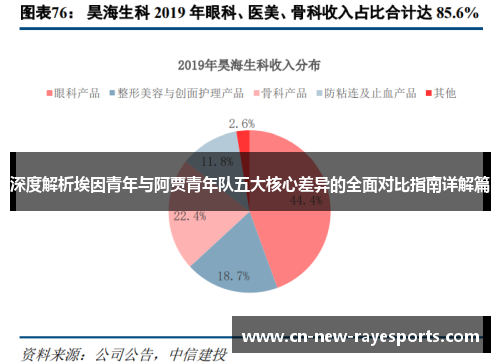 深度解析埃因青年与阿贾青年队五大核心差异的全面对比指南详解篇 深度解析埃因青年与阿贾青年队五大核心差异的全面对比指南详解篇