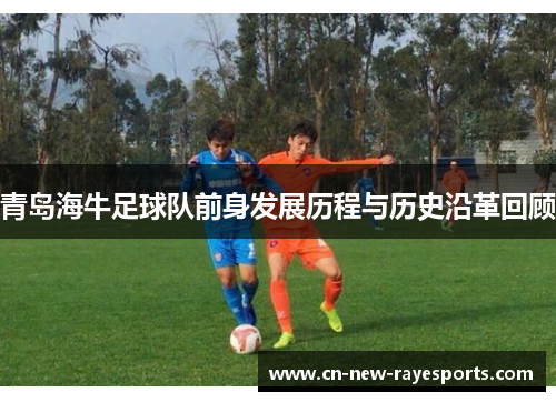 青岛海牛足球队前身发展历程与历史沿革回顾